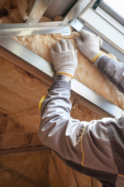 Types of Insulation We Offer in NV