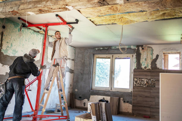 Best Insulation Installation Services in Fallon, NV