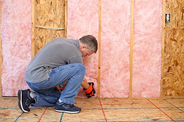 Best Insulation Maintenance and Repair in Fallon, NV