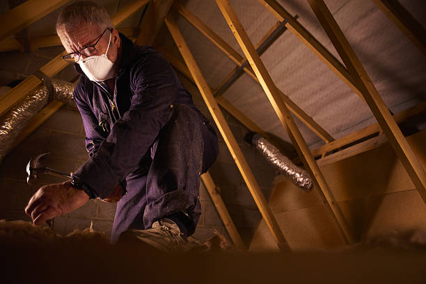 Best Commercial Insulation in Fallon, NV