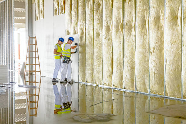 Best Commercial Insulation in Fallon, NV